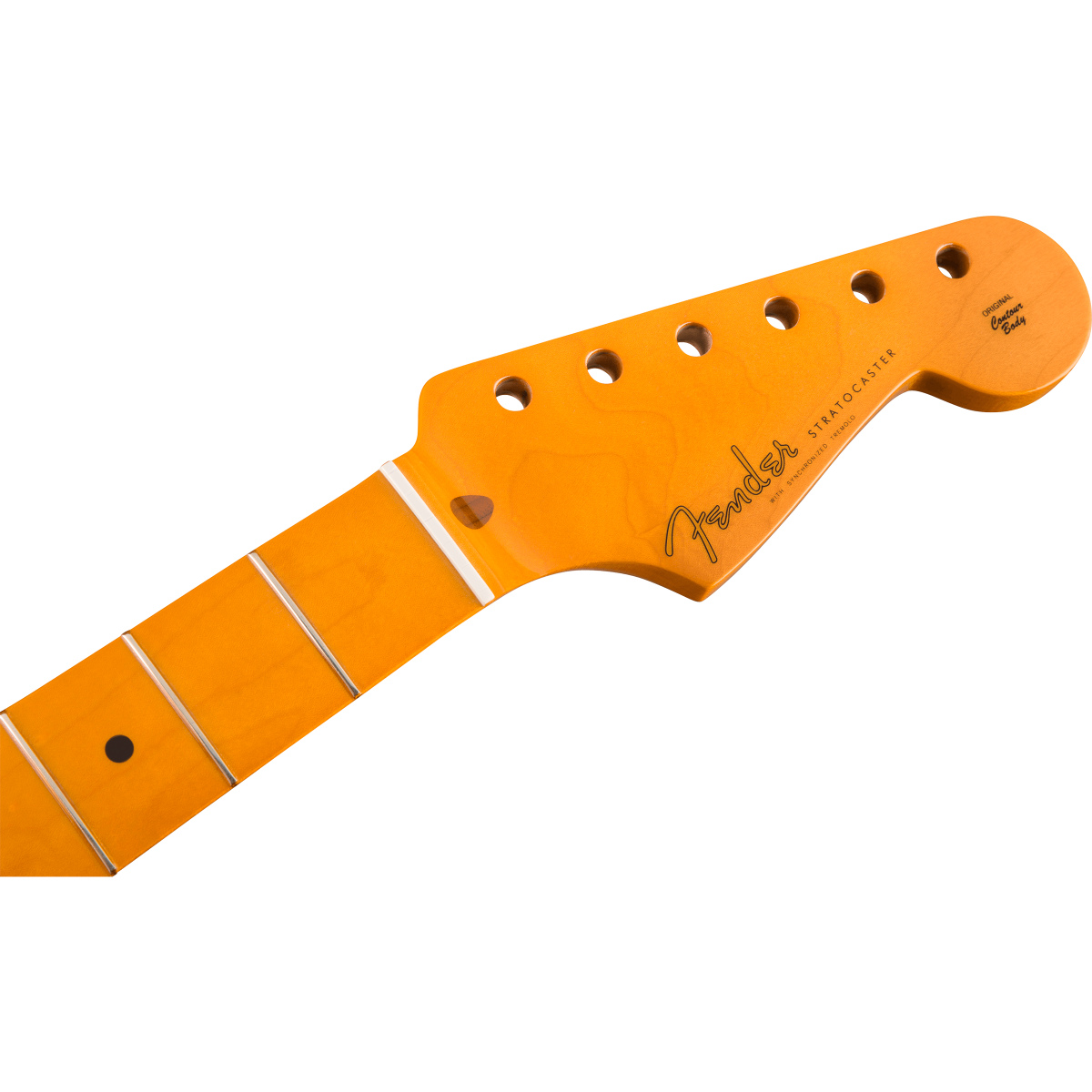 Fender Classic Series '50s Stratocaster Neck - Maple - Image 4