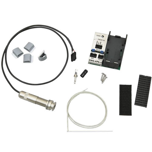 EMG AS125U Acoustic Pickup System (AT125 + APA-2)