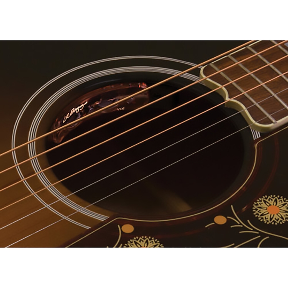 LR Baggs Session VTC – Element Pickup & Soundhole Preamp - Image 2