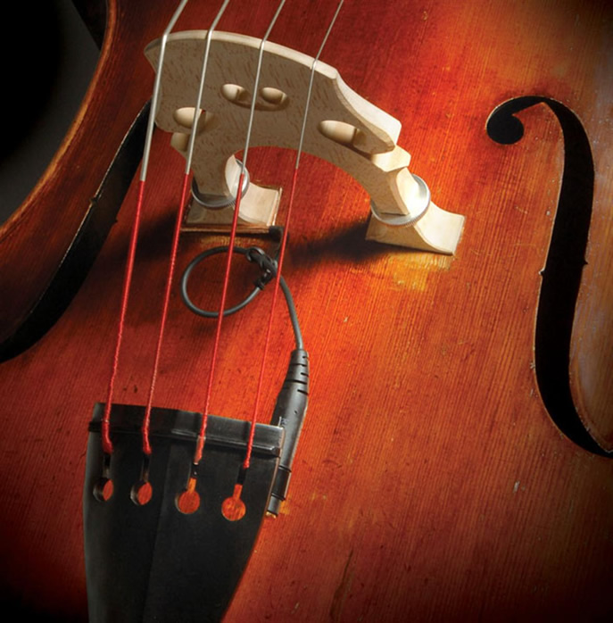 David Gage Realist RLSTSWB1 Upright Bass Pickup