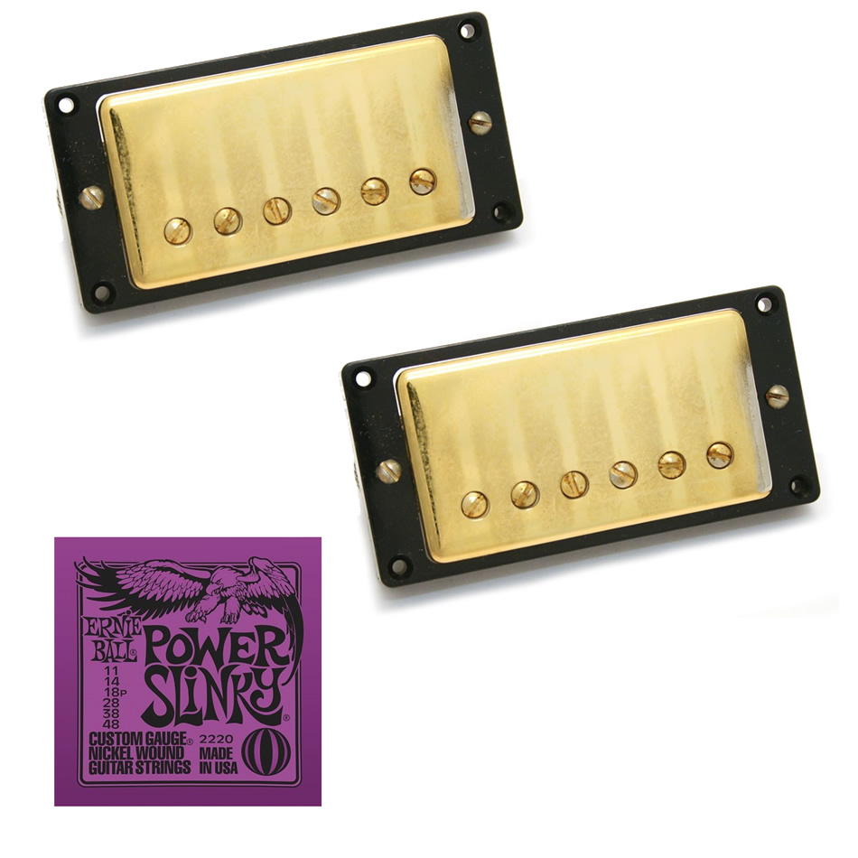 Seymour Duncan Antiquity Humbucker Set + EB2220 Strings