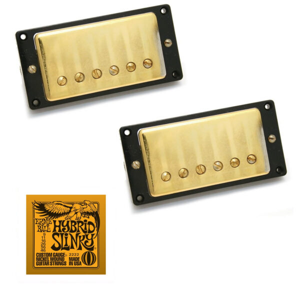 Seymour Duncan Antiquity Humbucker Set + EB2222 Strings