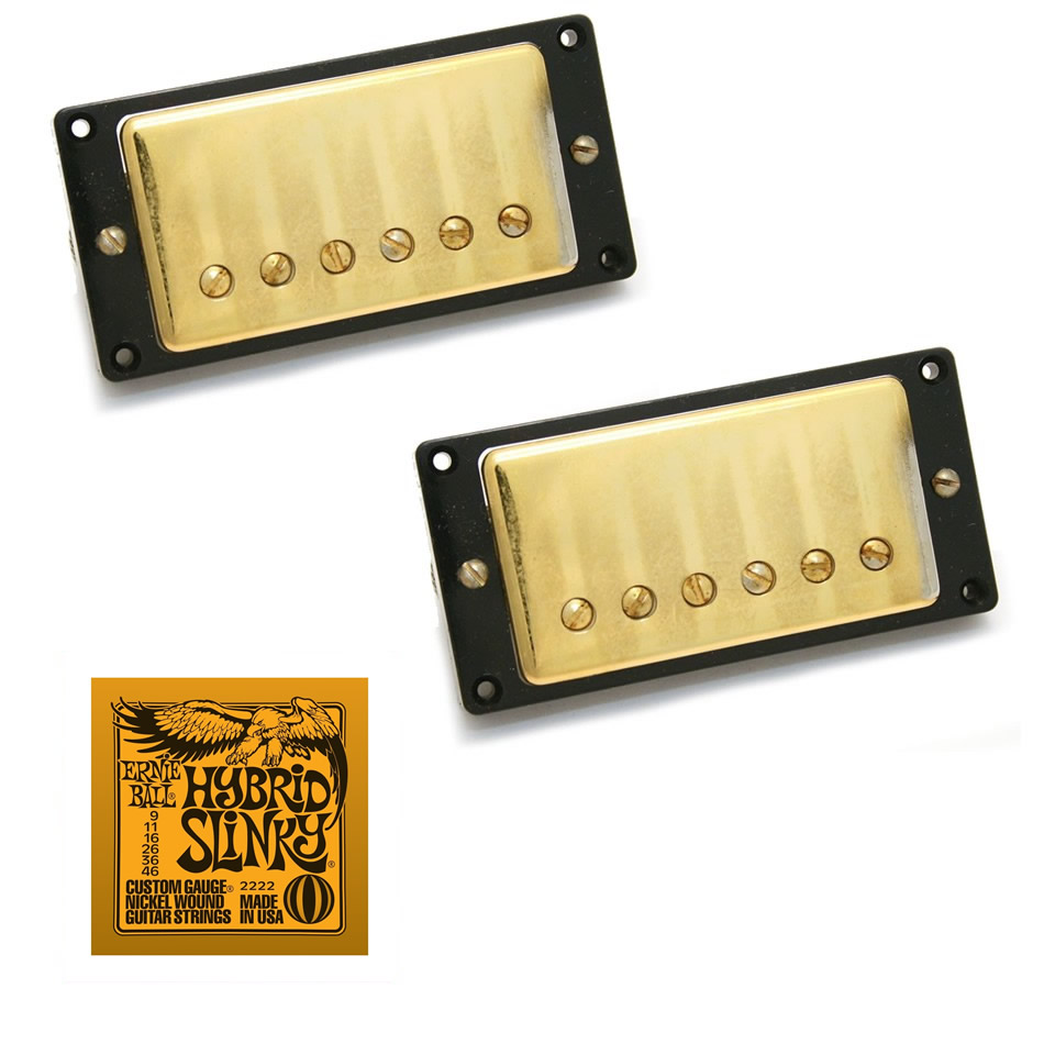 Seymour Duncan Antiquity Humbucker Set + EB2222 Strings