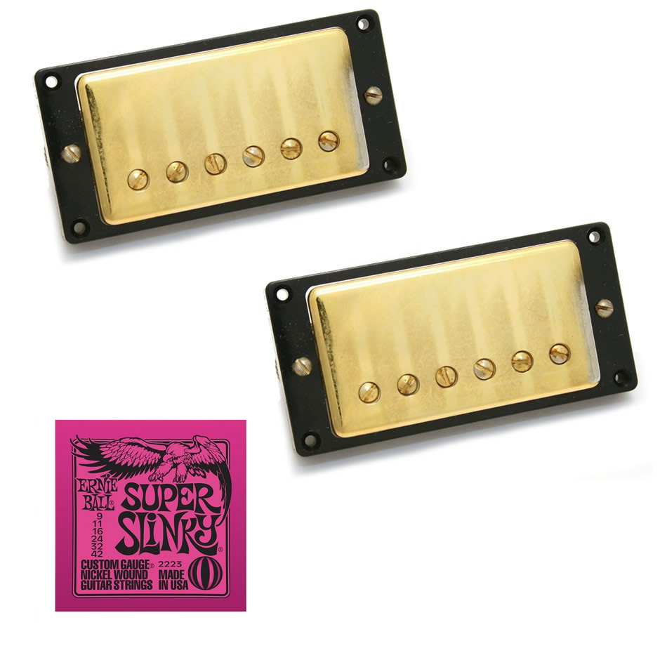 Seymour Duncan Antiquity Humbucker Set + EB2223 Strings