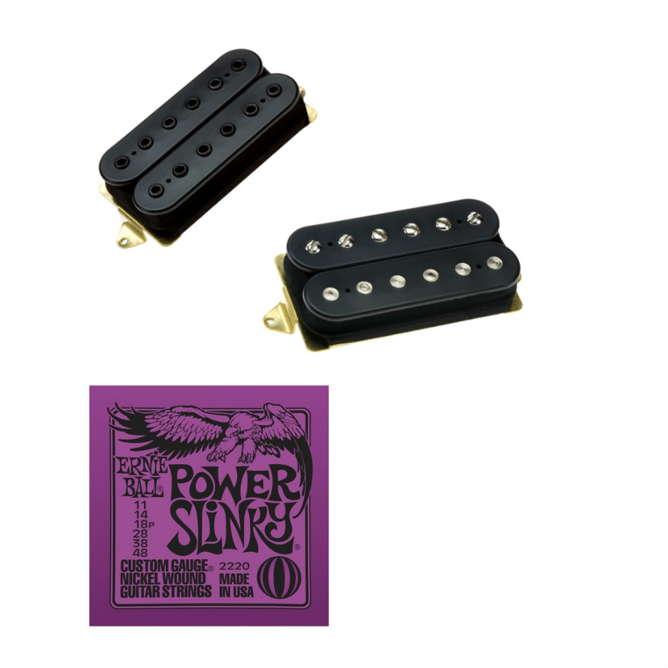 DiMarzio PAF Pro/Tone Zone Humbucker Set + EB2220 Strings