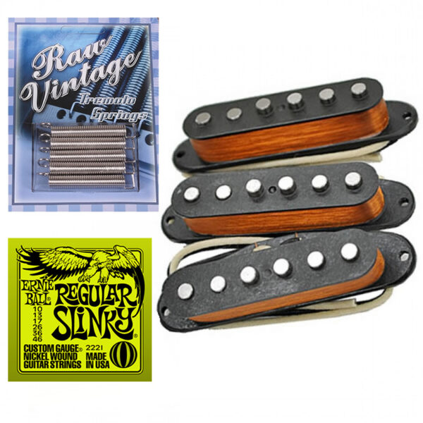 Raw Vintage RVTS-1 60's Strat Set + Springs & Strings